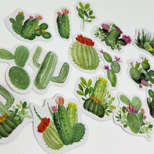 Pegatinas botánicas de jardín de cactus de acuarela, pegatinas de plantas suculentas pequeñas, pegatinas de plantas de terrario, pegatinas de cactus mexicanos