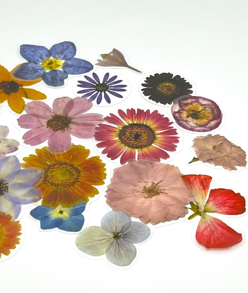 Op de afbeelding: Assortiment van geperste bloemen in verschillende kleuren en vormen, waaronder roze, rood, blauw, paars en geel. De bloemen zijn gerangschikt op een witte achtergrond en lijken klaar te zijn voor knutselprojecten.