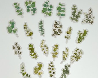 Eucalyptus Branch Stickers, Envelope Seal Stickers, Leafy Plant Stickers, Foliage Stickers, Botanical Stickers, Scrapbook Stickers