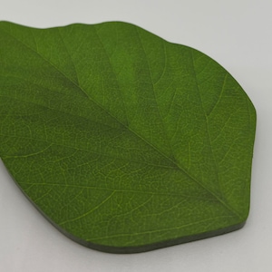 Note adesive a foglia verde, note adesive a foglia naturale, adesivi per promemoria, cancelleria novità, forniture per pianificatore