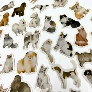 Sticker aquarelle amoureux des animaux, agenda d'autocollants, fabrication de cartes, petits autocollants créatifs, fournitures de scrapbooking, cadeau pour amoureux des chats et des chiens, caniche toy