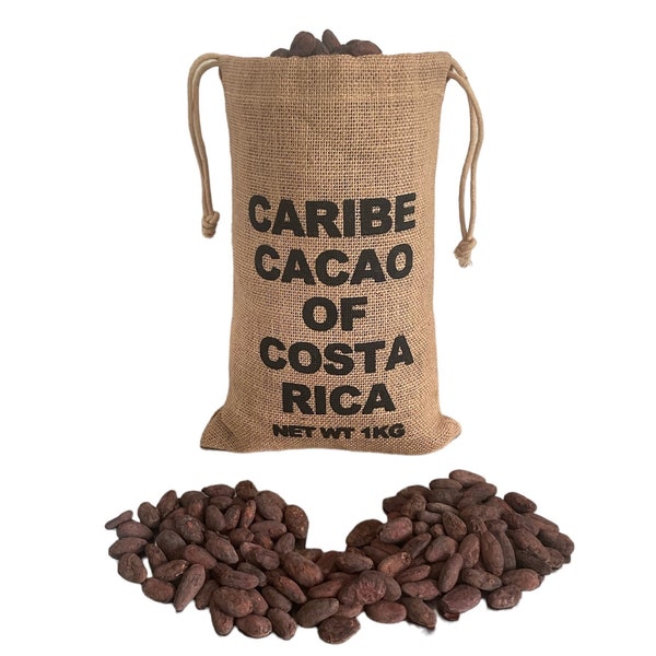 Organic Raw Cacao Bean Sourced from One Farm in Costa Rica's Caribbean Coast One Kilo (2.2lbs)