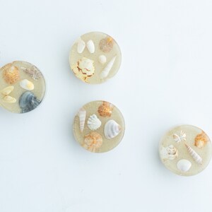 May include: Four round resin coasters with embedded seashells. The coasters are beige with a variety of seashells in shades of white, brown, and tan.