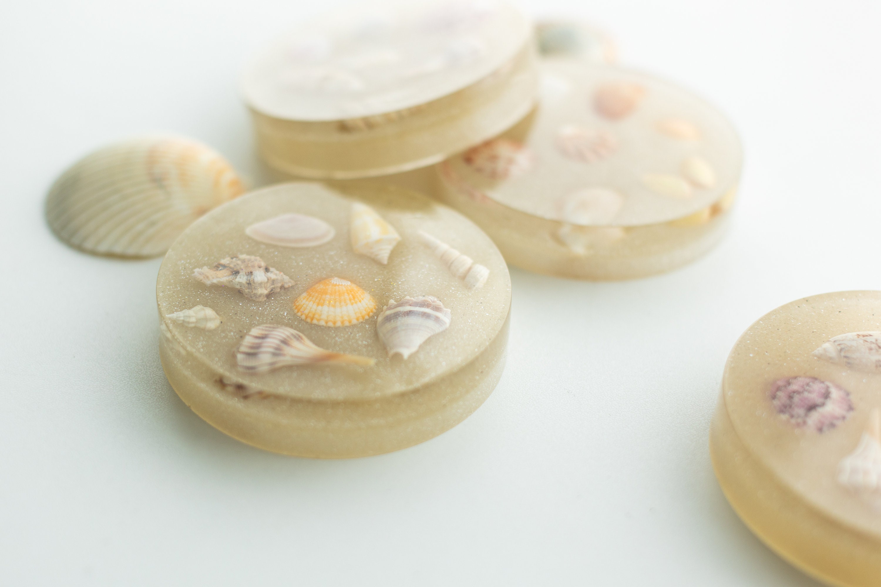 Shell Rim Coasters Sea Shell Coasters With Authentic Florida Sea Shells, Florida Sand ...