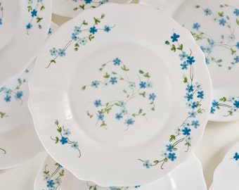 6 assiettes à dessert Veronica  Arcopal myosotis vintage français.