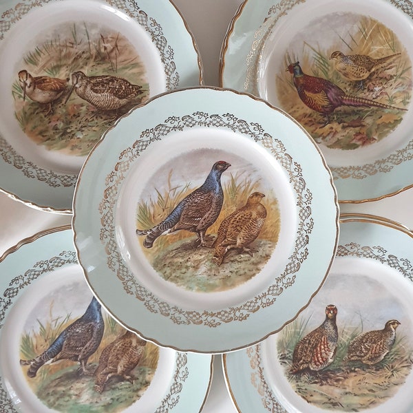 12 assiettes anciennes 4 motifs gibier chasse en porcelaine Moulins des Loups France. Vaisselle décoration table.