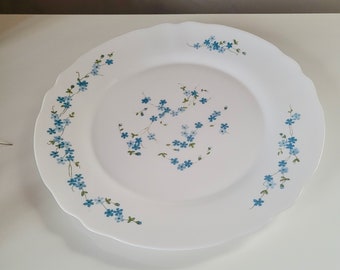 ARCOPAL lot de 12 assiettes à dessert modèle Veronica