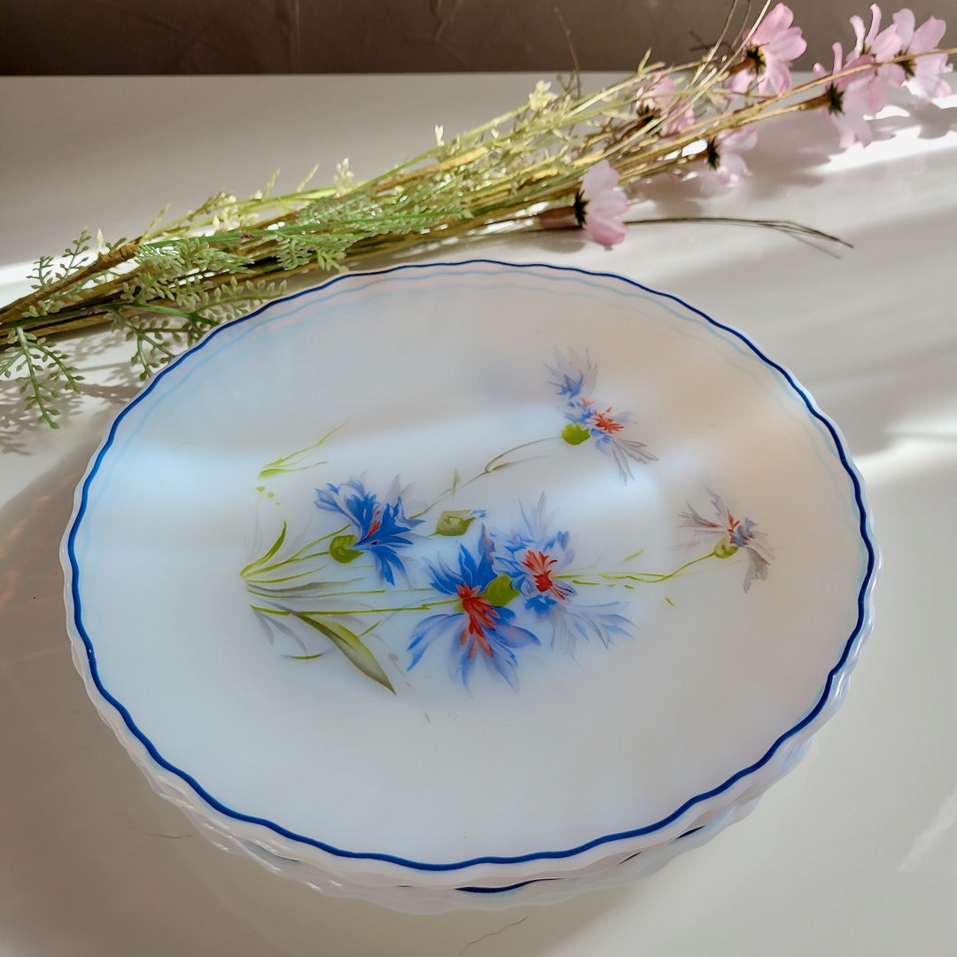 6 ASSIETTES à dessert opaline française arcopal motif rose rouge - France