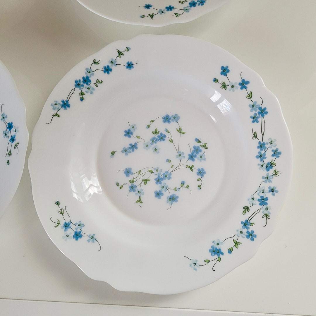 6 grande assiette plate vintage arcopal modele veronica decor myosotis