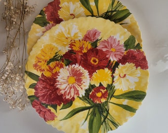 8 assiettes creuses Arcopal Hortense – Vintage – Très bon état - France