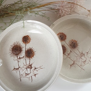Set of 2 vintage Sarreguemines plates in stoneware with thistle decoration France
