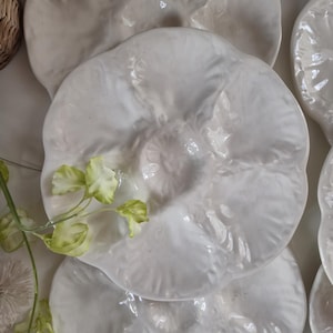 Peut inclure: Ensemble d'assiettes à huîtres en céramique blanche. Chaque assiette a une forme organique unique avec plusieurs compartiments. Les assiettes sont disposées ensemble, avec quelques brins de fleurs vert clair au premier plan, suggérant un thème côtier.