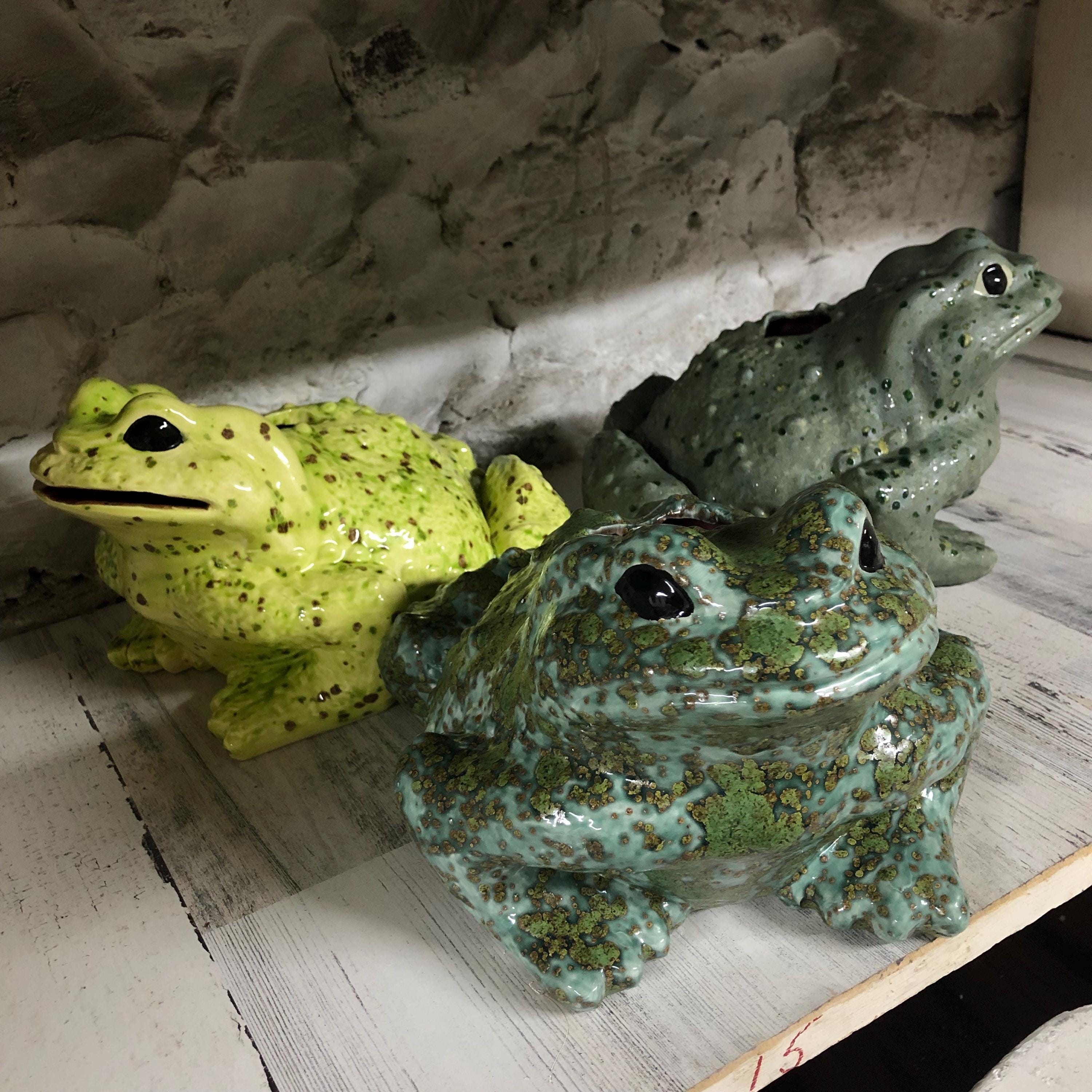 CUSTOM Painted Ceramic Arnel Toad Tissue Dispenser MEDIUM - Etsy