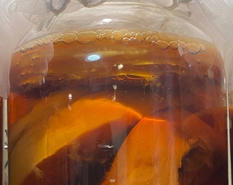 SCOBY de kombucha: Cultivo de té negro, azúcar de caña orgánica