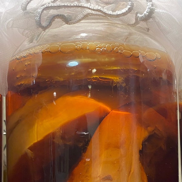 Kombucha SCOBY