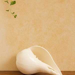 May include: A large, white conch shell with a smooth, glossy finish. The shell is resting on a wooden surface against a beige background. A sprig of green leaves is in the upper left corner.