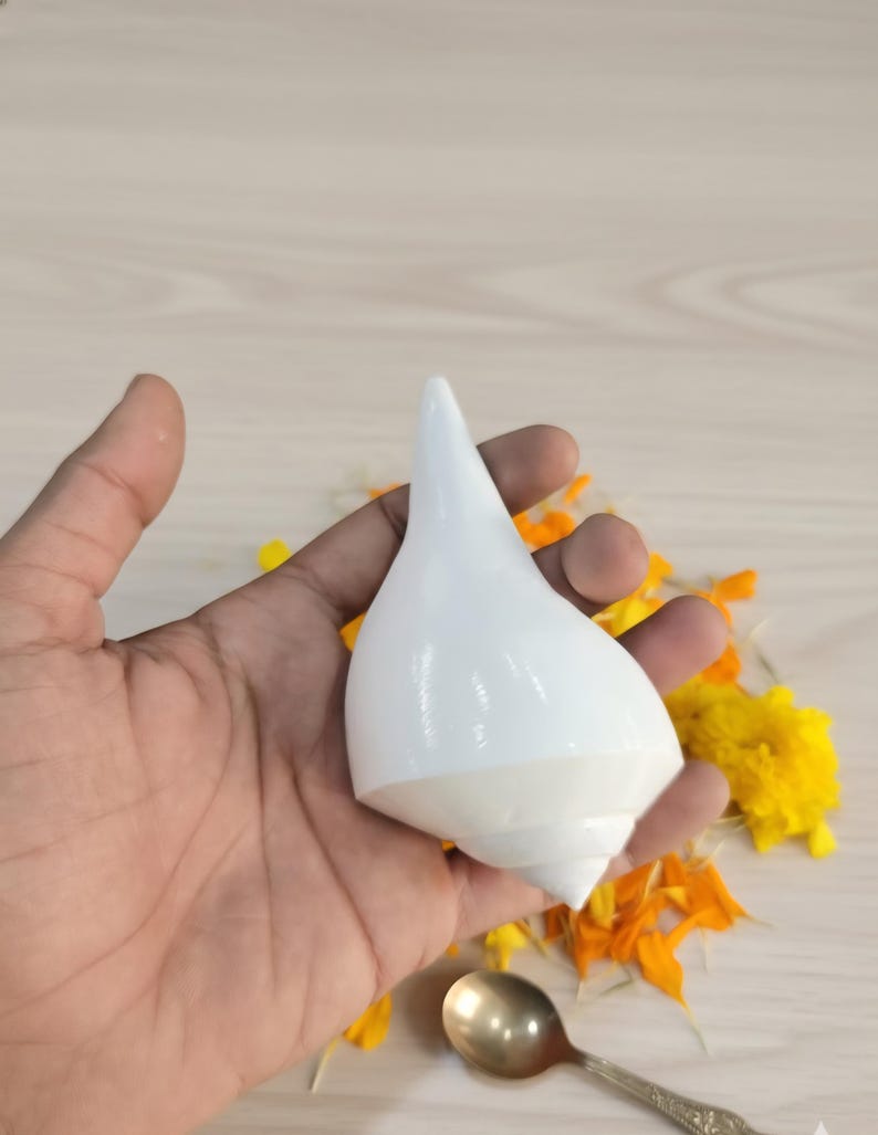 May include: A white conch shell with a pointed top, held in a hand. The shell is surrounded by yellow and orange flower petals. A small, ornate spoon rests below the shell.