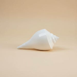 May include: A white conch shell with a smooth, glossy finish. The shell has a spiraled design and a pointed end. The conch is lying on a light beige background. This decorative item could be used for coastal decor.