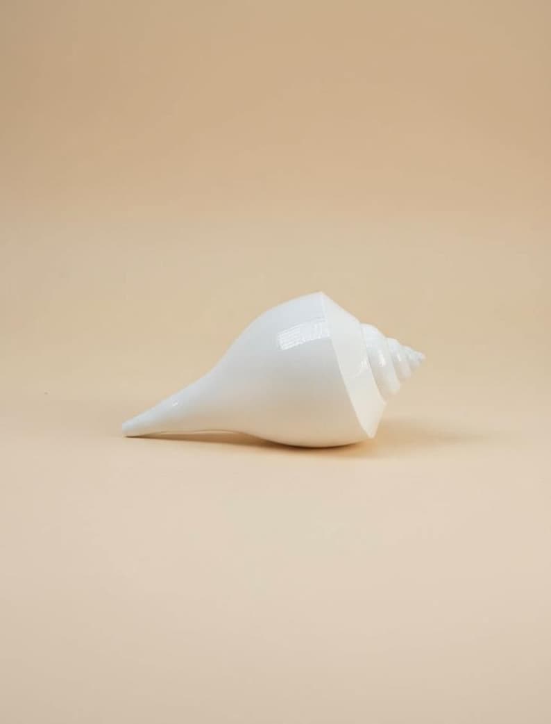 May include: A white conch shell with a smooth, glossy finish. The shell has a spiraled design and a pointed end. The conch is lying on a light beige background. This decorative item could be used for coastal decor.