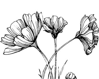 Flowers sketch drawing book