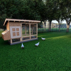 Simple Chicken Coop Plans with Run: Beginner Woodworking Project (PDF)