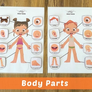 Body Parts/Body Parts Printable Activity/Homeschool Montessori/Learning Activity Page/My Body Activity/Body Part Matching Learning/Body Kids