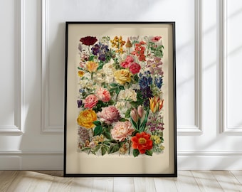 Poster di fiori botanici - Illustrazione di fiori vintage, decorazione floreale colorata da parete, stampa artistica di fiori da giardino