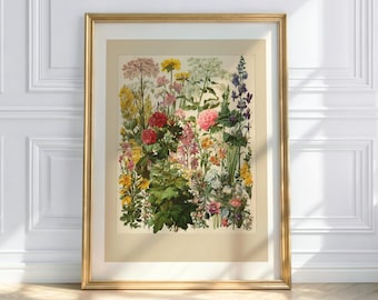 Flower Poster – Colorful Flower Meadow Wall Art, Botanical Art, Vintage Floral Print, Nature Decor