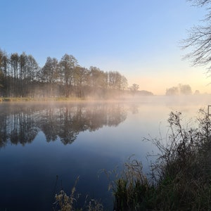 misty sunrise