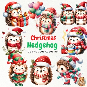Christmas Hedgehog Clipart, Christmas Hedgehog PNG, Christmas Hedgehog, Woodland Animal, Hedgehog Watercolor