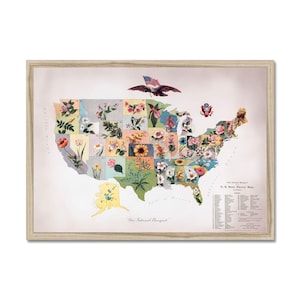 Our National Bouquet • 1911 US State Flower Map Druck • Restaurierte Vintage Blumenkarte • Antike amerikanische botanische Wandkunst