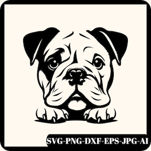 Schattige Bulldog SVG, Old English Bulldog SVG, Bulldog Svg, Bulldog Cricut-bestand, gluren Bulldog, Bulldog ras, Bulldog Svg-bestand, hond Svg, Png