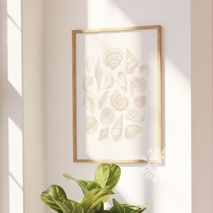 Puede incluir: Una impresión enmarcada de una colección de conchas marinas sobre un fondo blanco con un marco marrón claro. La impresión está colgada en una pared blanca junto a una ventana. Una planta verde está en primer plano.