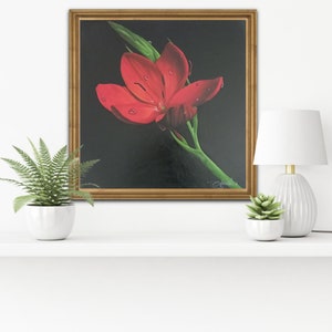 Tulipa Vermelha