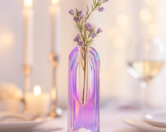 Acrylic Rainbow Test Tube Vase: Modern Floral Display & Plant Propagation