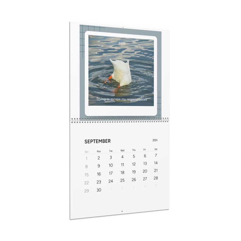 Funny Animal Meme Wall Calendars 2024/ Animal Calendar 2024/ Funny