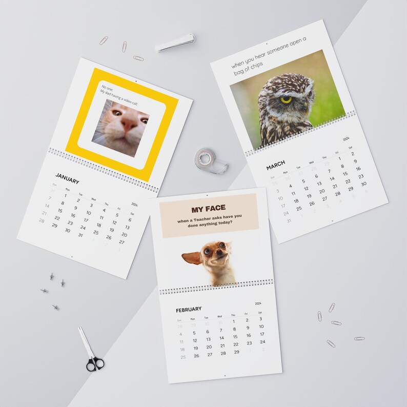 Funny Animal Meme Wall Calendars 2024/ Animal Calendar 2024/ Funny