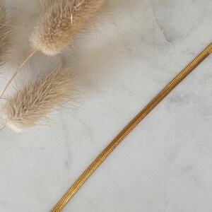 May include: A gold snake chain necklace on a white marble background with dried pampas grass.