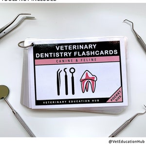 May include: A stack of pocket-sized veterinary dentistry flashcards with the title "VETERINARY DENTISTRY FLASHCARDS CANINE & FELINE". The cover features black line drawings of dental tools and a tooth illustration. Dental tools surround the flashcards.