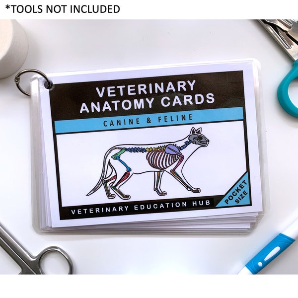 Veterinary Anatomy Flashcards, Veterinary Pocket book, Veterinary Flashcards for Vet Students, Vet Nurses, Vet Techs & Veterinarians