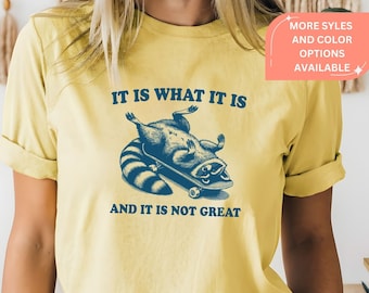 Koszulka z motywem szopa, „To jest, co jest i nie jest wspaniale”, bluza z motywem zdrowia psychicznego, zabawna bluza damska, bluza z kapturem z szopem, koszulka z szopem, koszulka z gagami