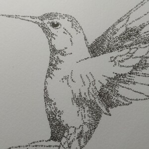 May include: A black and white illustration of a hummingbird made entirely of the word "COLL" repeated many times. The hummingbird is facing to the right and has its wings spread out.