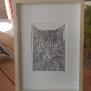May include: A framed black and white drawing of a cat's face. The cat has large, round eyes and a fluffy coat.