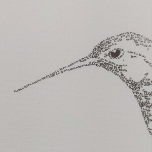 May include: A black and white line drawing of a hummingbird made up of the word "collibri" repeated many times.