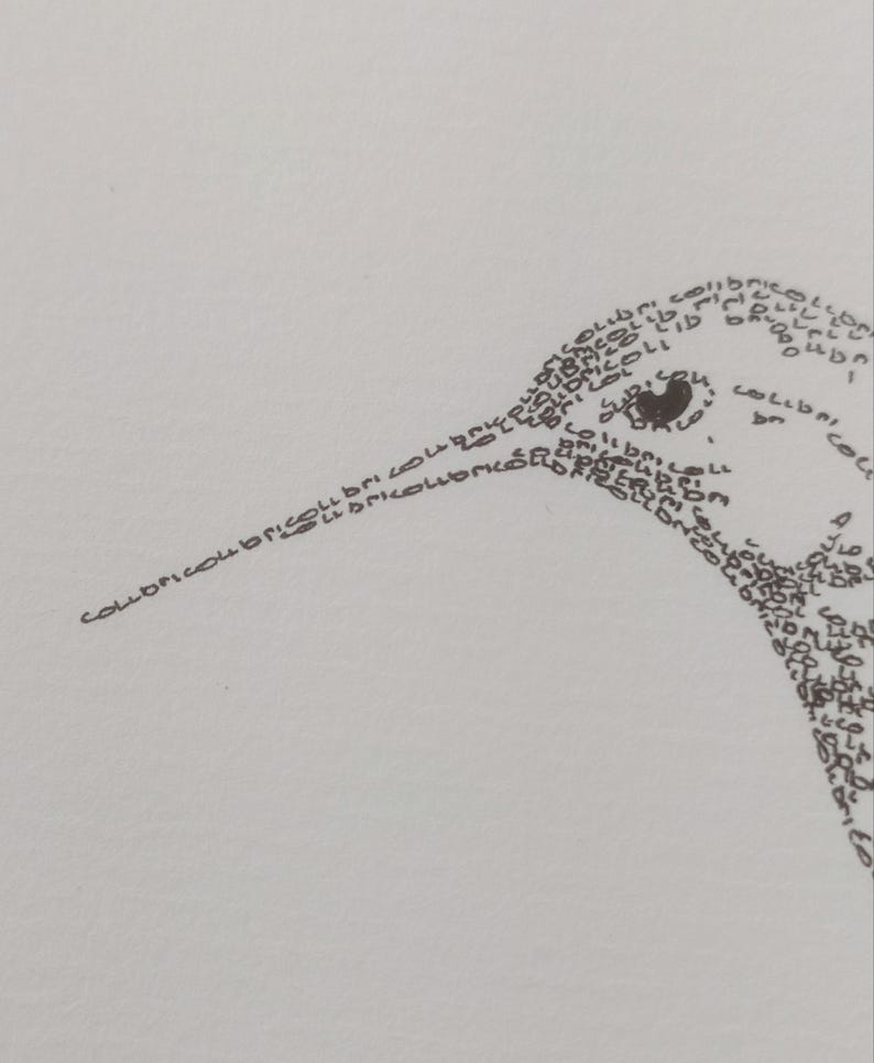 May include: A black and white line drawing of a hummingbird made up of the word "collibri" repeated many times.
