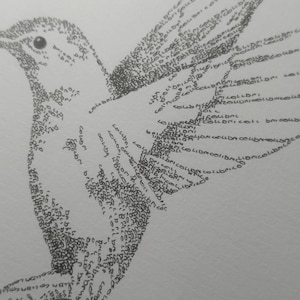 May include: A black and white drawing of a bird made entirely of the word "colubric" repeated many times.