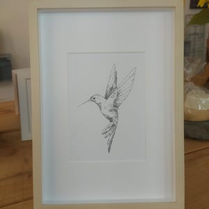 May include: A framed black and white line drawing of a hummingbird in flight. The drawing is on white paper and is framed in a light wood frame.