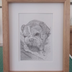 May include: A black and white pen and ink drawing of a bulldog's head, framed in a light wood frame.