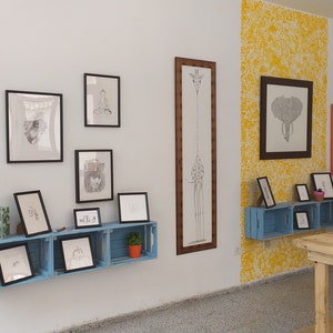 May include: A gallery wall display of framed black and white drawings of animals, including a giraffe, elephant, and other creatures. The drawings are displayed on white walls with a blue crate shelf and a wooden table.