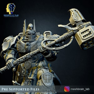 3d Printed Imperial Marine Master of the Order of Heaven by Meshbrain Labs
